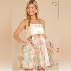 Red Dress Shop Ivory Print Dress